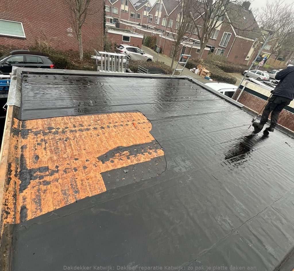Dakleer Reparatie Katwijk