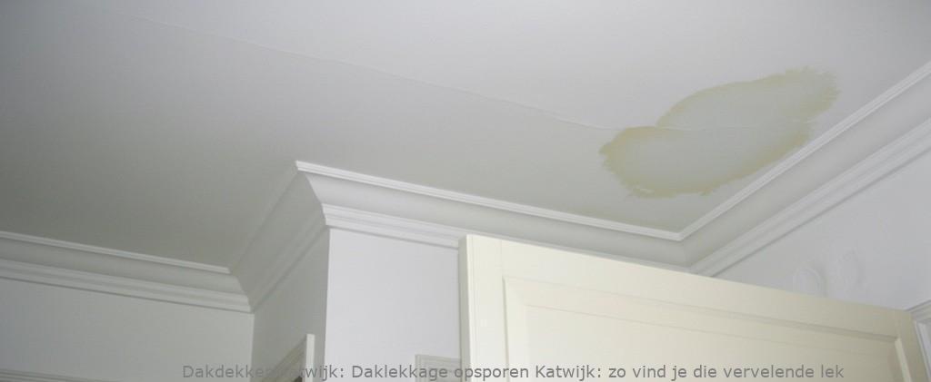 Daklekkage Opsporen Katwijk 1