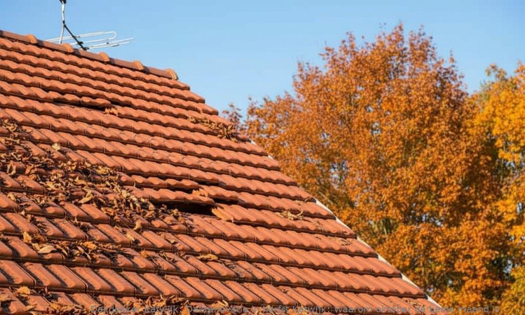 Dakrenovatie In Herfst Katwijk