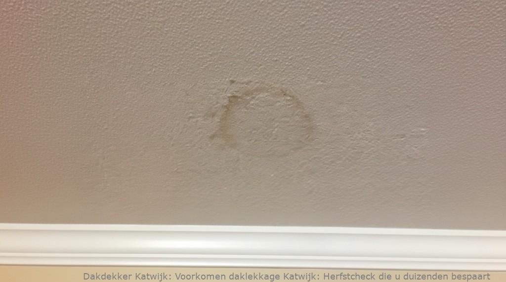 Voorkomen Daklekkage Katwijk
